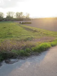 Gotischer Bogen im Feld
