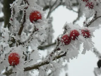 Winterimpressionen