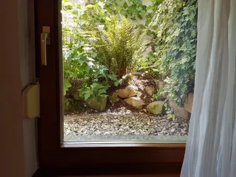 Blick in den Garten (© Tobias Humbert)