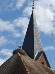 Ein Kirchturm mit einer spitzen Dachform und einem Storchennest auf der Spitze. Der blaue Himmel hat einige Wolken.