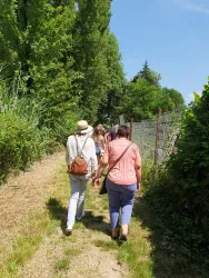 Eine Gruppe von Menschen geht einen schmalen Weg entlang, umgeben von Bäumen und grünem Gestrüpp. Der Himmel ist blau und sonnig.
