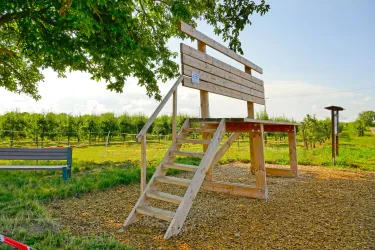 Eine Holzplattform mit einer Treppe steht in einem grünen Feld. Im Hintergrund sind Obstbäume zu sehen und der Himmel ist blau.