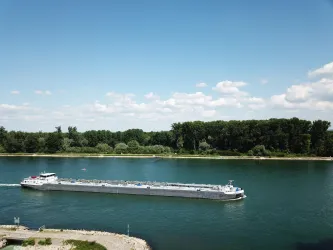 Ein Frachtschiff fährt auf einem ruhigen Fluss. Im Hintergrund sind grüne Bäume und ein blauer Himmel zu sehen.