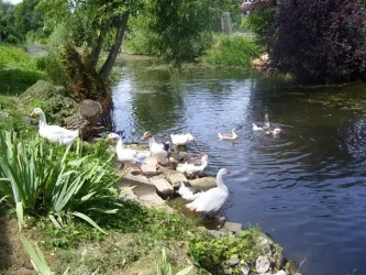 Am Otterbach