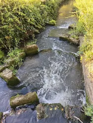 Fischtreppe Erlenbach