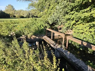 Fischtreppe Erlenbach