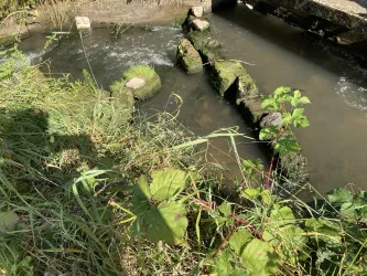 Fischtreppe Erlenbach