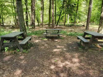 Rastplatz an der T-Kreuzung Erlenhof 2