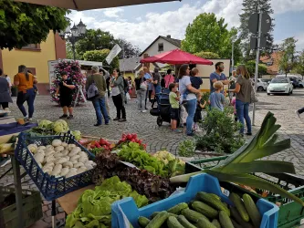 Ludwigsmarkt