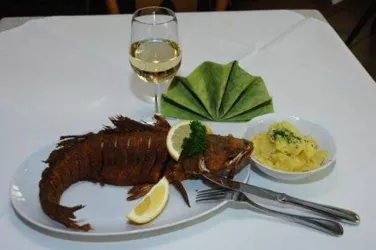 Der "Hausfisch" - Karpfen (© Gasthaus zum Karpfen, Günther Gehrlein)