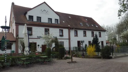 IMGP2423 (© Knittelsheimer Mühle)