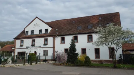 IMGP2444 (© Knittelsheimer Mühle)