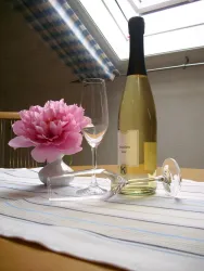 Herzlich Willkommen in der FeWo Blumenschein