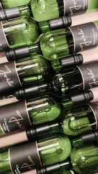 Grauburgunder 2022, Weingut Johler (© Weingut Johler)