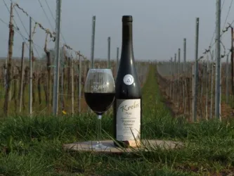 Rotwein