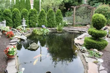 Teich