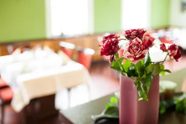 Hotel-Restaurant Vater Rhein, Restaurant (© Maca Tomic, Foto by Tonimedia)