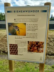 Bienenlehrpfad Freckenfeld