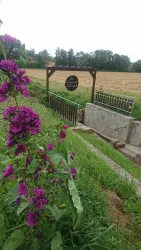 Kneipp-Tretbecken in Freckenfeld