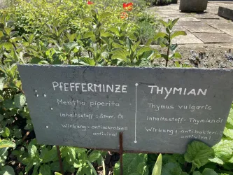 Kräutergarten Freckenfeld - angebaute Kräuter