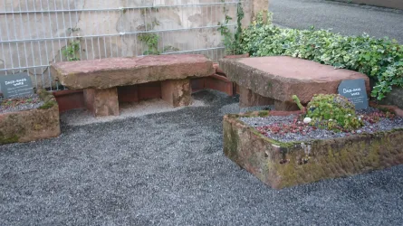 Ruhebänke im Kräutergarten Freckenfeld