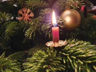 Eine Kerze mit einer rosa Flamme steht in einem goldenen Kerzenhalter. Sie ist im Weihnachtsbaum zwischen Ästen und einer goldenen Kugel angeordnet.