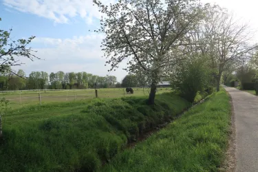 Weg am Dorfbach Freckenfeld