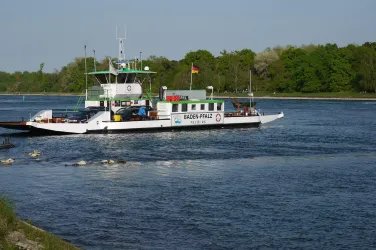 Rheinfähre Baden-Pfalz