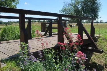 Brücke mit Ruhebank am Dorfbachweg/Bienlehrpfad in Freckenfeld