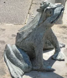 Frosch am Storchenbrunnen Erlenbach