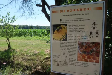 Lehrtafel am Bienenlehrpfald in Freckenfeld