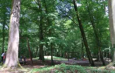  Spielplatz am Naturfreundehaus im Bienwald