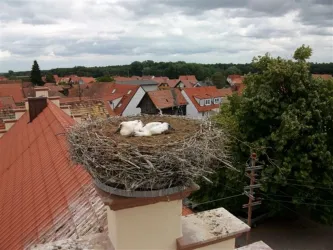 Storchennest auf dem Schwesternhaus in Hatzenbühl