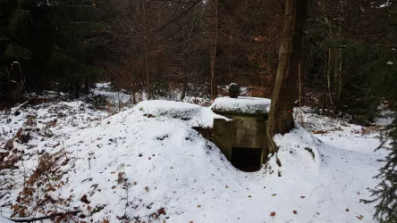 Schnee bedeckter Bunker entlang des Schaidter Westwallweges