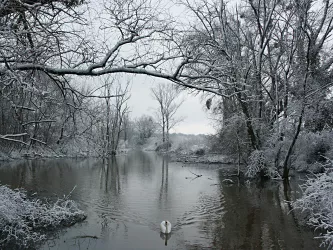 Winterlandschaft am Altrhein