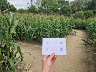 Vollständige Stempelkarte, im Hintergrund die Irrwege eines Maislabyrinthes