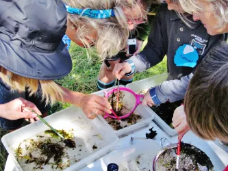 Kinder erforschen mit Sieben und Lupen Algen und Wasserpflanzen in Plastikwannen