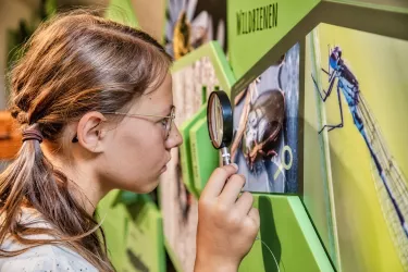 Mädchen betrachtet das Foto eines Insektes durch eine Lupe