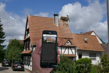 Eine Hand mit Smartphone, auf welchem das Storchenquiz geöffnet ist, vor dem Hintergrund eines Fachwerkhauses mit Storchenhorst.