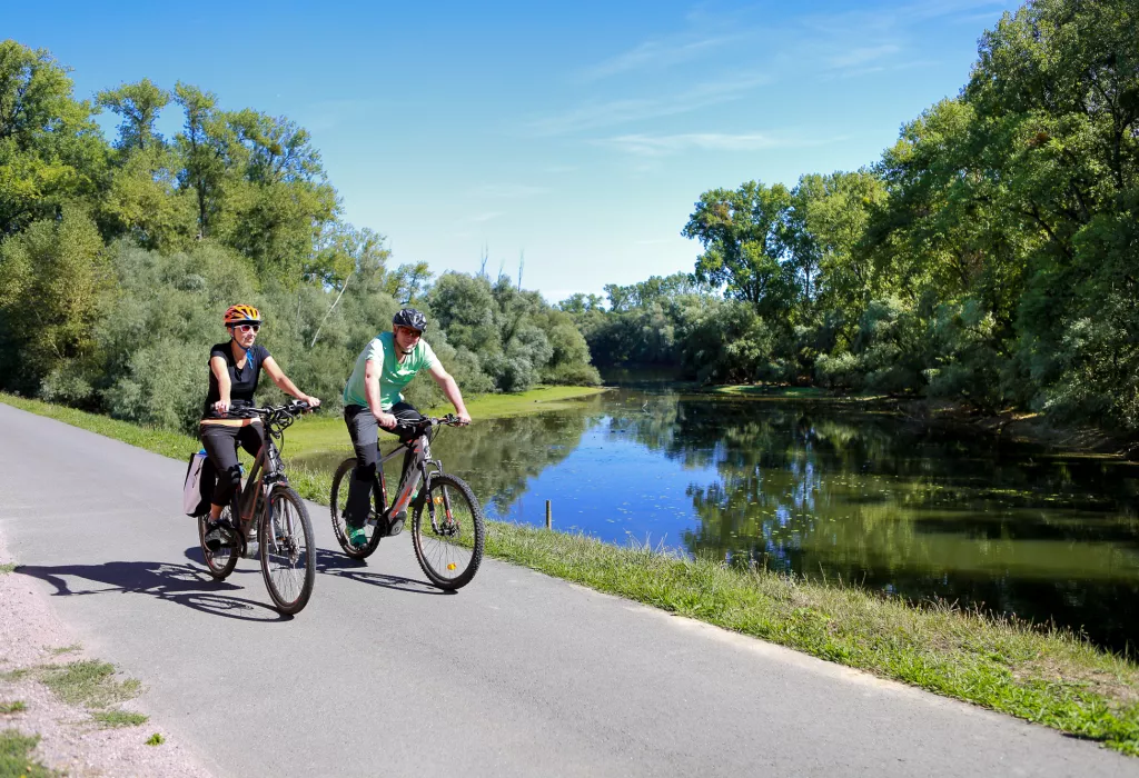 Radfahrer auf dem Rheinradweg