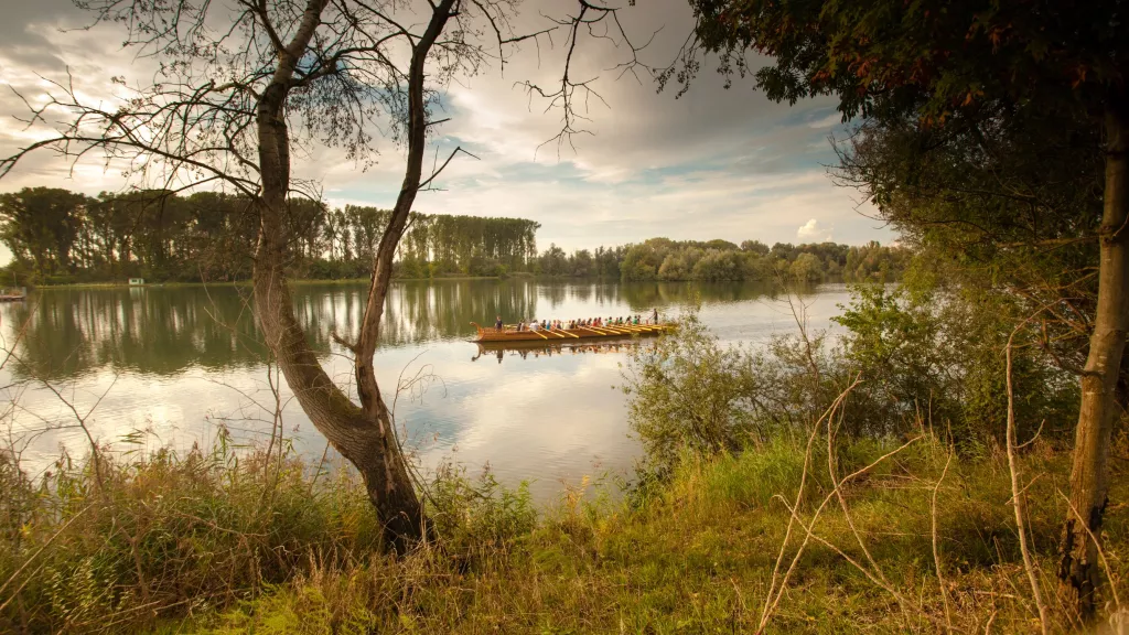 Römerschiff Lusoria Rhenana auf dem Altrhein