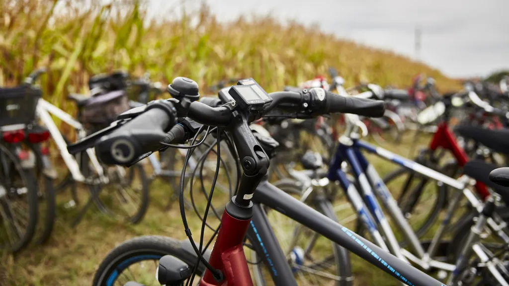 Ein Radparkplatz bei der Veranstaltung "Offene Höfe" in der Südpfalz