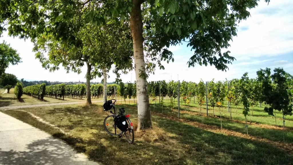 Rad am Radweg von Hof zu Hof