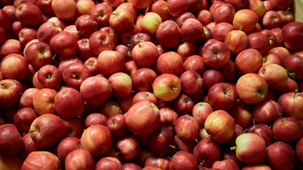 rotbackige Äpfel liegen zum Verkauf bereit 