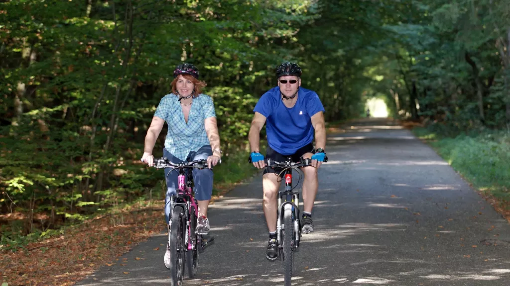 Radfahrer fahren duch den Bienwald