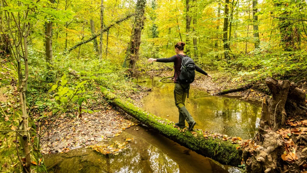 Wanderer balanciert über einen Baumstamm