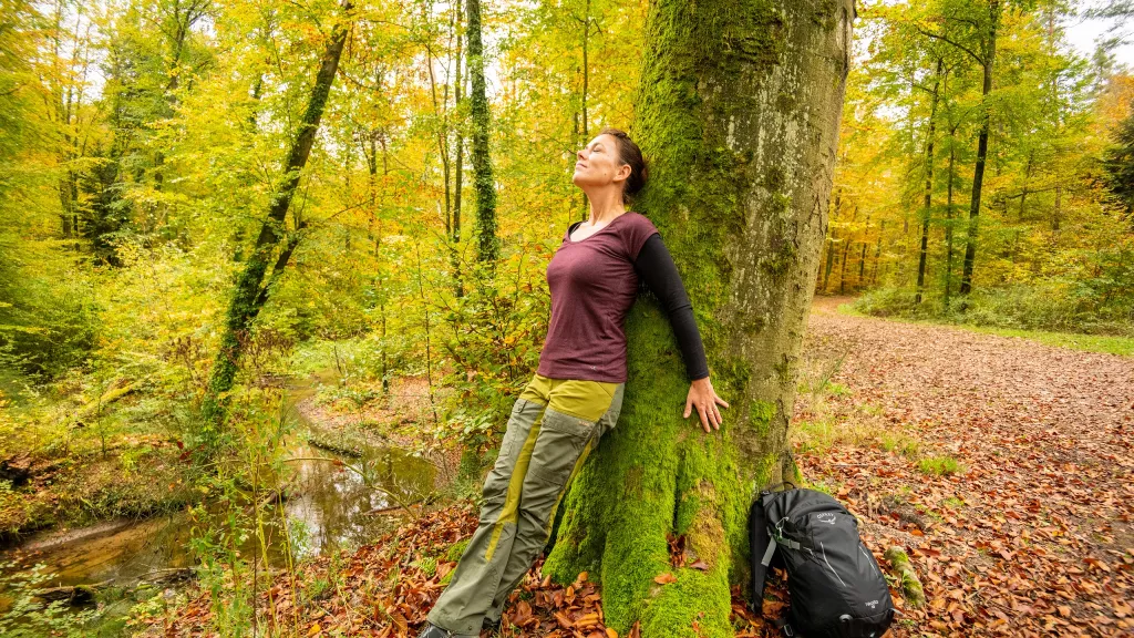 Wanderer genießt die Ruhe im Wald.