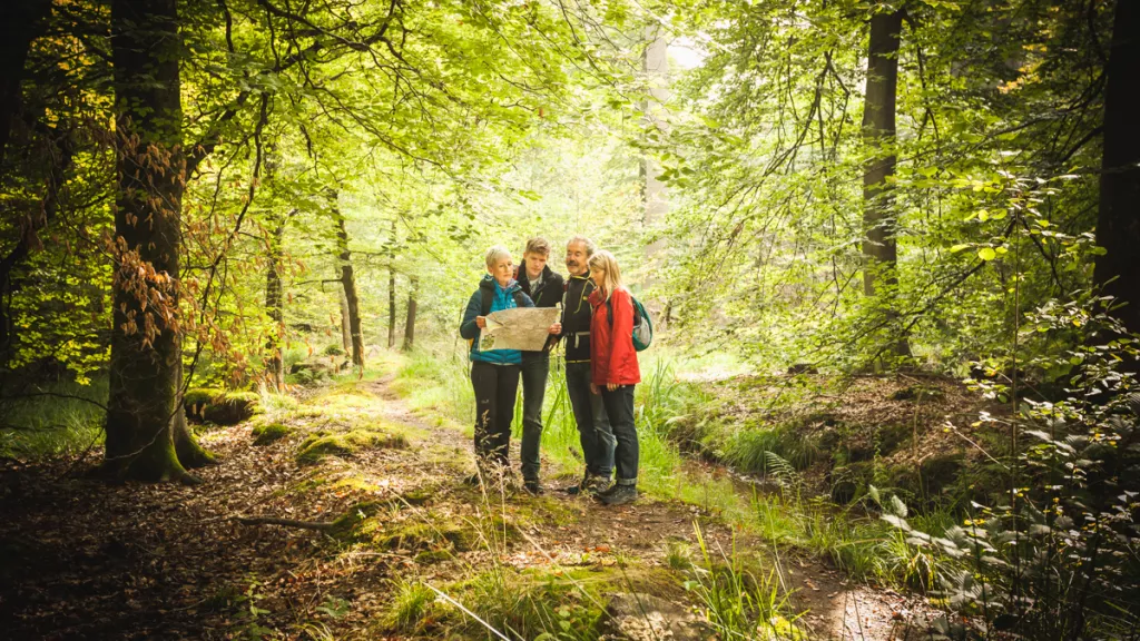 Wanderer studieren eine Karte bei einer Wanderung im Bienwald