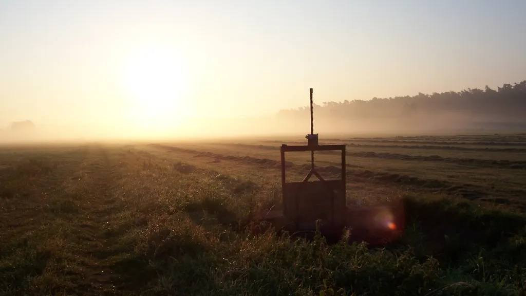 Holzwiesen im Morgendunst