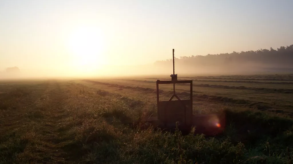 Holzwiesen im Morgendunst